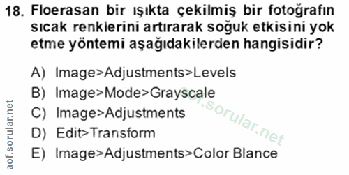 Soru 18