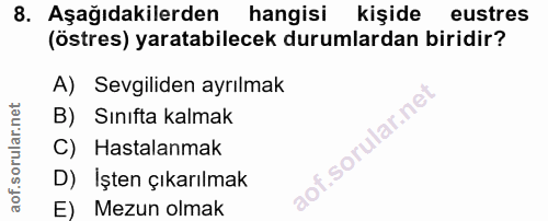 Soru 8
