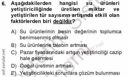 Soru 6