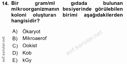 Soru 14