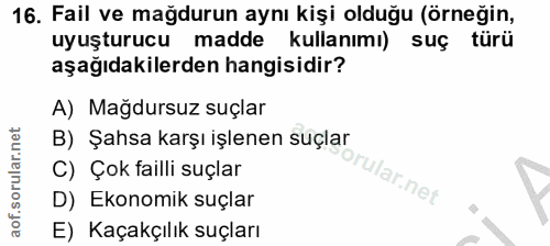 Soru 16