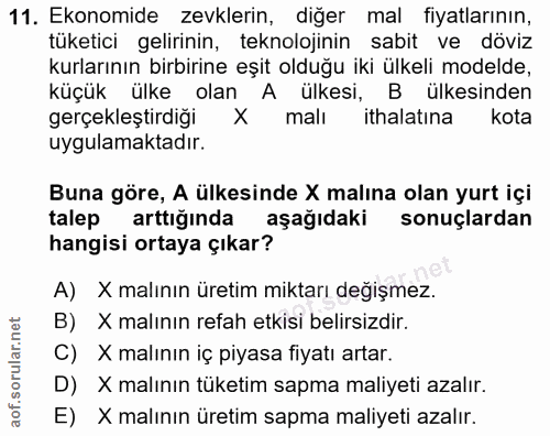 Soru 11