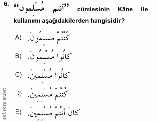 Soru 6