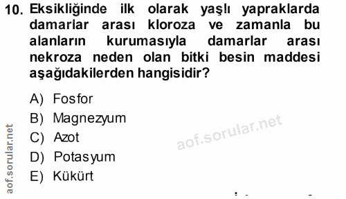 Soru 10