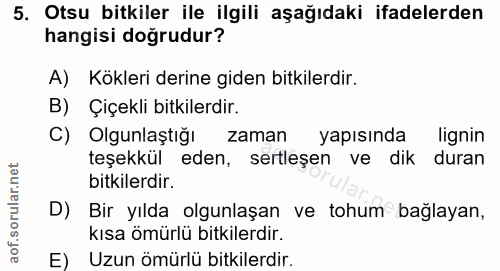 Soru 5