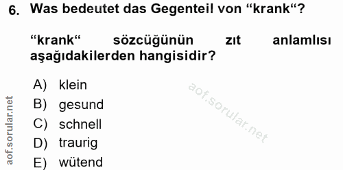 Soru 6