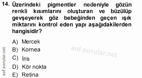 Soru 14