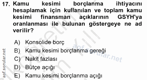 Soru 17