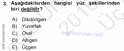 Soru 3