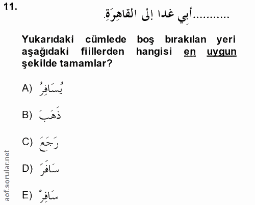 Soru 11