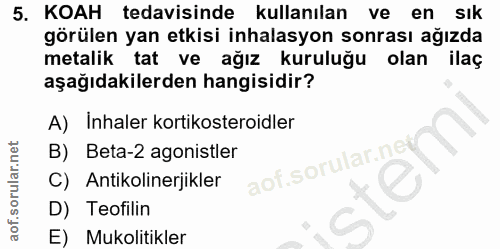 Soru 5