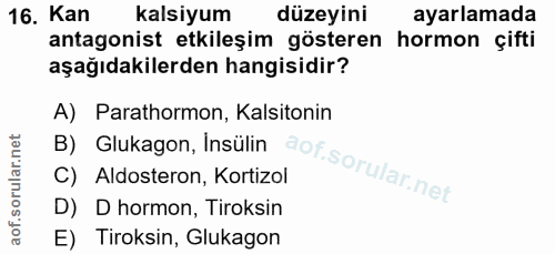 Soru 16
