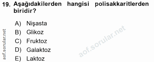 Soru 19
