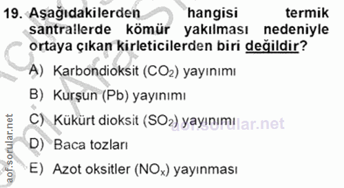 Soru 19