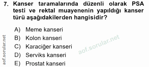 Soru 7
