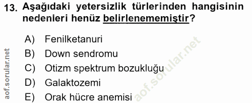 Soru 13