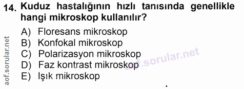 Soru 14