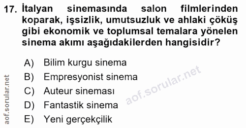 Soru 17