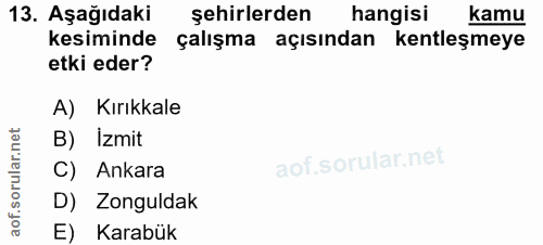 Soru 13