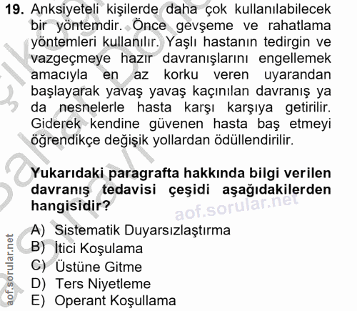Soru 19