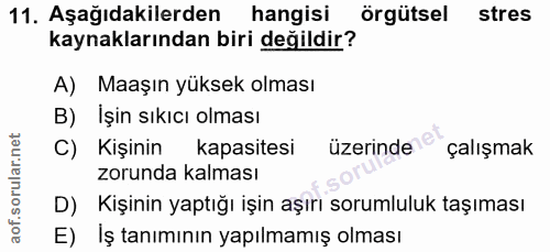 Soru 11