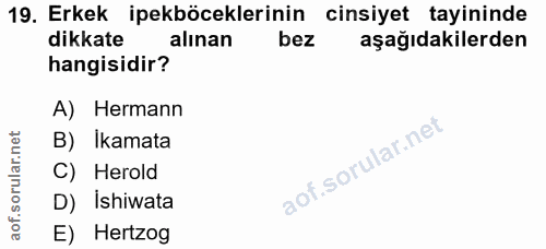 Soru 19