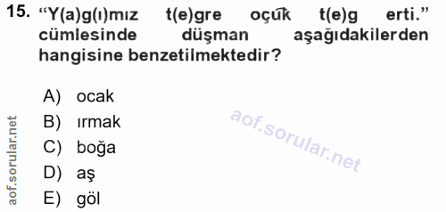 Soru 15