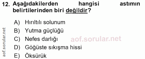 Soru 12
