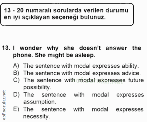 Soru 13