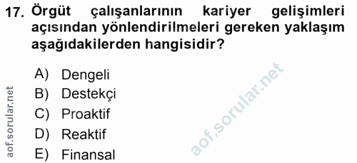 Soru 17