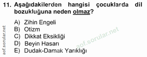 Soru 11