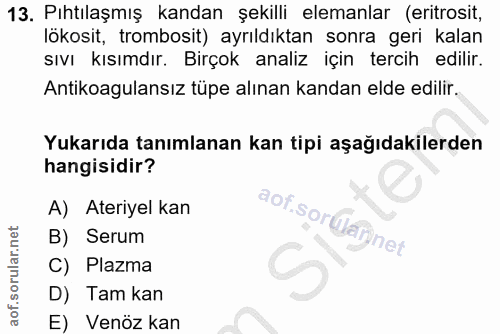 Soru 13