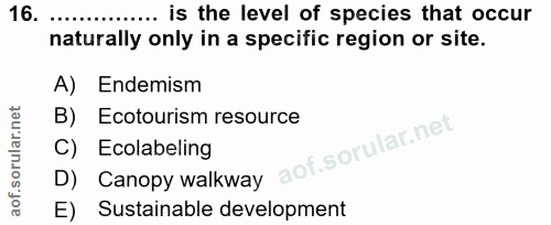 Soru 16