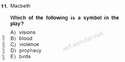 Soru 11