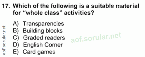 Soru 17