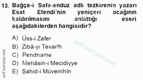 Soru 13