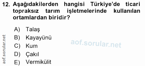 Soru 12