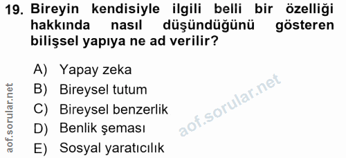 Soru 19