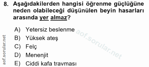Soru 8