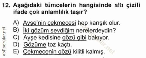 Soru 12