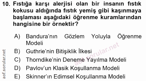 Soru 10