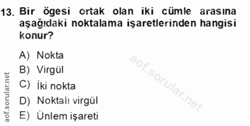 Soru 13