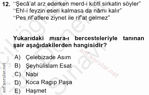 Soru 12