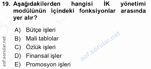 Soru 19
