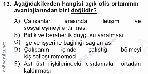 Soru 13