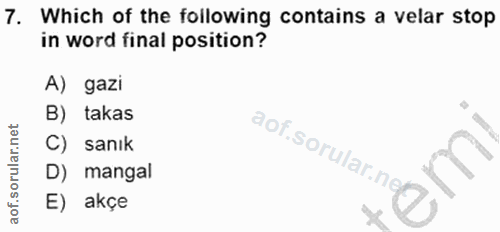 Soru 7