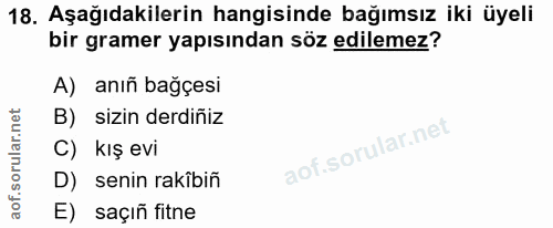 Soru 18
