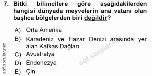 Soru 7