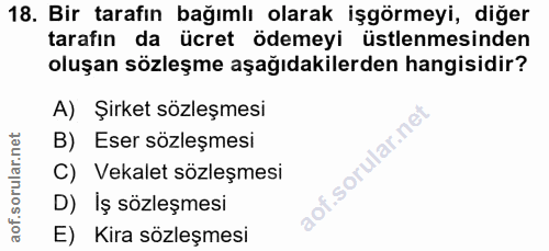 Soru 18