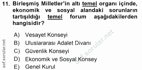Soru 11